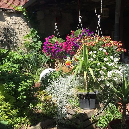 Haus Gisela Apartment Endingen am Kaiserstuhl Екстериор снимка