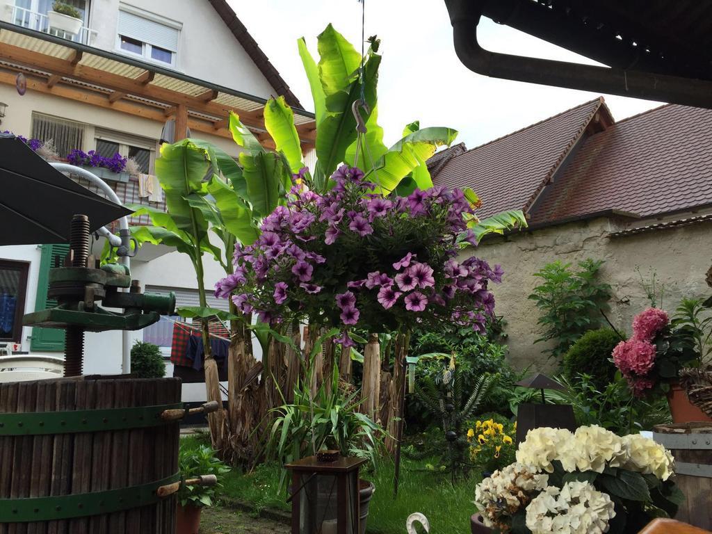 Haus Gisela Apartment Endingen am Kaiserstuhl Екстериор снимка