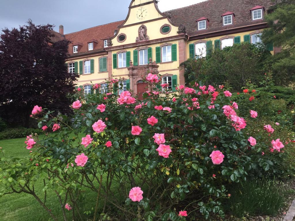 Haus Gisela Apartment Endingen am Kaiserstuhl Екстериор снимка